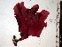  ( - GWS004767)  @11 [ ] CreativeCommons - Attribution Non-Commercial Share-Alike (2010) Unspecified University of New Brunswick