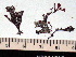  ( - GWS005644)  @11 [ ] CreativeCommons - Attribution Non-Commercial Share-Alike (2010) GWS005644 University of New Brunswick