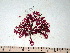  ( - GWS006431)  @11 [ ] CreativeCommons - Attribution Non-Commercial Share-Alike (2010) Unspecified University of New Brunswick