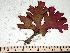 ( - GWS008730)  @11 [ ] CreativeCommons - Attribution Non-Commercial Share-Alike (2010) Unspecified University of New Brunswick