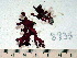  ( - GWS008938)  @12 [ ] CreativeCommons - Attribution Non-Commercial Share-Alike (2010) GWS008938 University of New Brunswick