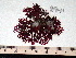  ( - GWS008941)  @11 [ ] Unspecified (default): All Rights Reserved  Unspecified Unspecified