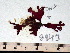  ( - GWS008943)  @12 [ ] CreativeCommons - Attribution Non-Commercial Share-Alike (2010) GWS008943 University of New Brunswick