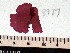  ( - GWS008977)  @11 [ ] Unspecified (default): All Rights Reserved  Unspecified Unspecified