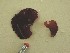  ( - GWS010420)  @11 [ ] Unspecified (default): All Rights Reserved  Unspecified Unspecified