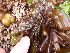  ( - GWS012783)  @11 [ ] CreativeCommons - Attribution Non-Commercial Share-Alike (2010) Unspecified University of New Brunswick