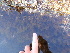  ( - GWS012787)  @11 [ ] CreativeCommons - Attribution Non-Commercial Share-Alike (2010) Unspecified University of New Brunswick