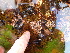  ( - GWS012800)  @11 [ ] CreativeCommons - Attribution Non-Commercial Share-Alike (2010) GWS012800 University of New Brunswick