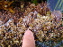  ( - GWS012806)  @11 [ ] CreativeCommons - Attribution Non-Commercial Share-Alike (2010) GWS012806 University of New Brunswick