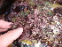  ( - GWS012923)  @11 [ ] CreativeCommons - Attribution Non-Commercial Share-Alike (2010) Unspecified University of New Brunswick