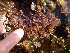  ( - GWS012937)  @11 [ ] CreativeCommons - Attribution Non-Commercial Share-Alike (2010) Unspecified University of New Brunswick