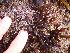  ( - GWS012967)  @11 [ ] CreativeCommons - Attribution Non-Commercial Share-Alike (2010) Unspecified University of New Brunswick