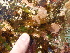  ( - GWS012979)  @11 [ ] CreativeCommons - Attribution Non-Commercial Share-Alike (2010) Unspecified University of New Brunswick