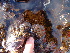  ( - GWS013002)  @11 [ ] CreativeCommons - Attribution Non-Commercial Share-Alike (2010) Unspecified University of New Brunswick