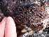  ( - GWS013028)  @11 [ ] CreativeCommons - Attribution Non-Commercial Share-Alike (2010) Unspecified University of New Brunswick