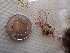  ( - GWS013047)  @11 [ ] CreativeCommons - Attribution Non-Commercial Share-Alike (2010) Unspecified University of New Brunswick
