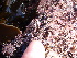  ( - GWS013056)  @11 [ ] CreativeCommons - Attribution Non-Commercial Share-Alike (2010) Unspecified University of New Brunswick