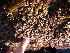  ( - GWS013074)  @11 [ ] CreativeCommons - Attribution Non-Commercial Share-Alike (2010) Unspecified University of New Brunswick