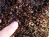  ( - GWS013086)  @11 [ ] CreativeCommons - Attribution Non-Commercial Share-Alike (2010) Unspecified University of New Brunswick