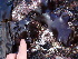  ( - GWS013087)  @11 [ ] CreativeCommons - Attribution Non-Commercial Share-Alike (2010) Unspecified University of New Brunswick