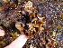  ( - GWS013090)  @11 [ ] CreativeCommons - Attribution Non-Commercial Share-Alike (2010) Unspecified University of New Brunswick