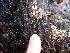  ( - GWS013097)  @11 [ ] CreativeCommons - Attribution Non-Commercial Share-Alike (2010) Unspecified University of New Brunswick