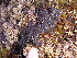  ( - GWS013101)  @11 [ ] CreativeCommons - Attribution Non-Commercial Share-Alike (2010) Unspecified University of New Brunswick