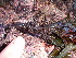  ( - GWS013116)  @11 [ ] CreativeCommons - Attribution Non-Commercial Share-Alike (2010) Unspecified University of New Brunswick