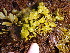  ( - GWS013126)  @11 [ ] CreativeCommons - Attribution Non-Commercial Share-Alike (2010) Unspecified University of New Brunswick
