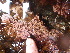  ( - GWS013157)  @11 [ ] CreativeCommons - Attribution Non-Commercial Share-Alike (2010) Unspecified University of New Brunswick