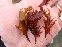 ( - GWS013233)  @11 [ ] CreativeCommons - Attribution Non-Commercial Share-Alike (2010) Unspecified University of New Brunswick