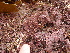  ( - GWS013274)  @11 [ ] CreativeCommons - Attribution Non-Commercial Share-Alike (2010) Unspecified University of New Brunswick