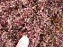  ( - GWS013275)  @11 [ ] CreativeCommons - Attribution Non-Commercial Share-Alike (2010) Unspecified University of New Brunswick