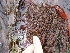  ( - GWS013311)  @11 [ ] CreativeCommons - Attribution Non-Commercial Share-Alike (2010) Unspecified University of New Brunswick