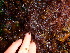  ( - GWS013425)  @11 [ ] CreativeCommons - Attribution Non-Commercial Share-Alike (2010) Unspecified University of New Brunswick