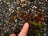  ( - GWS013466)  @13 [ ] CreativeCommons - Attribution Non-Commercial Share-Alike (2010) Unspecified University of New Brunswick
