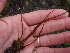  ( - GWS013470)  @13 [ ] CreativeCommons - Attribution Non-Commercial Share-Alike (2010) Unspecified University of New Brunswick