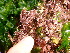  ( - GWS013477)  @11 [ ] CreativeCommons - Attribution Non-Commercial Share-Alike (2010) Unspecified University of New Brunswick