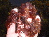  ( - GWS013529)  @11 [ ] CreativeCommons - Attribution Non-Commercial Share-Alike (2010) Unspecified University of New Brunswick