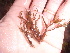  ( - GWS013540)  @12 [ ] CreativeCommons - Attribution Non-Commercial Share-Alike (2010) Unspecified University of New Brunswick