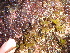  ( - GWS013559)  @13 [ ] CreativeCommons - Attribution Non-Commercial Share-Alike (2010) Unspecified University of New Brunswick