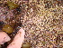  ( - GWS013604)  @11 [ ] CreativeCommons - Attribution Non-Commercial Share-Alike (2010) Unspecified University of New Brunswick