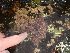  ( - GWS013612)  @11 [ ] CreativeCommons - Attribution Non-Commercial Share-Alike (2010) Unspecified University of New Brunswick
