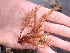  ( - GWS013653)  @13 [ ] CreativeCommons - Attribution Non-Commercial Share-Alike (2010) Unspecified University of New Brunswick