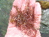  ( - GWS013706)  @13 [ ] CreativeCommons - Attribution Non-Commercial Share-Alike (2010) Unspecified University of New Brunswick