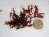  ( - GWS014457)  @11 [ ] Unspecified (default): All Rights Reserved  Unspecified Unspecified