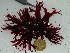 ( - GWS024085)  @11 [ ] Unspecified (default): All Rights Reserved  Unspecified Unspecified