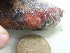  ( - GWS025752)  @11 [ ] Unspecified (default): All Rights Reserved  Unspecified Unspecified
