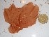  (Neoharaldiophyllum mirabile - GWS027362)  @11 [ ] Unspecified (default): All Rights Reserved  Unspecified Unspecified
