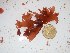  ( - GWS027374)  @11 [ ] Unspecified (default): All Rights Reserved  Unspecified Unspecified